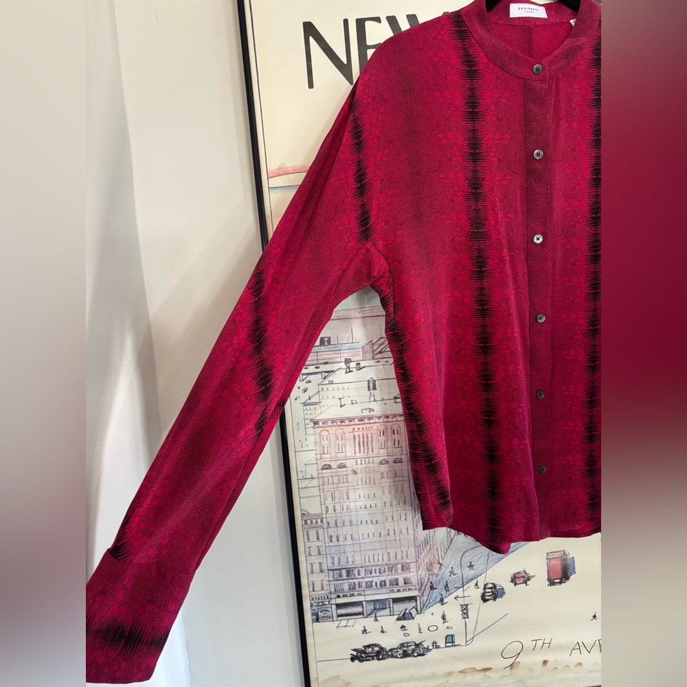 Equipment Red and Black Button-Down Silk Blouse - Picture 5 of 10